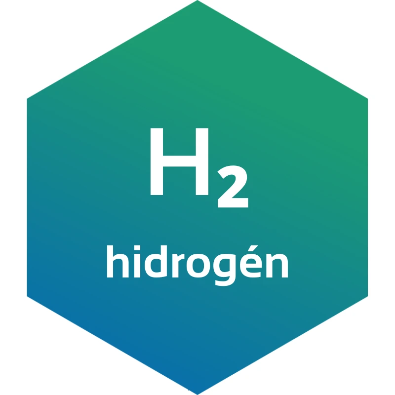 H2